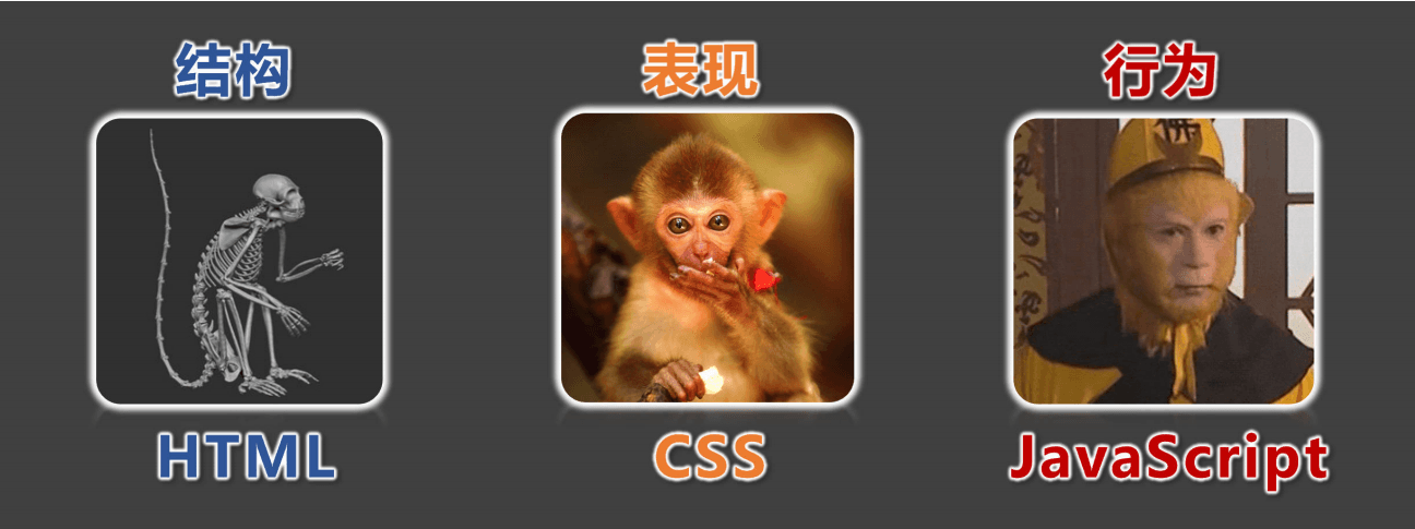 image-20240415100110774